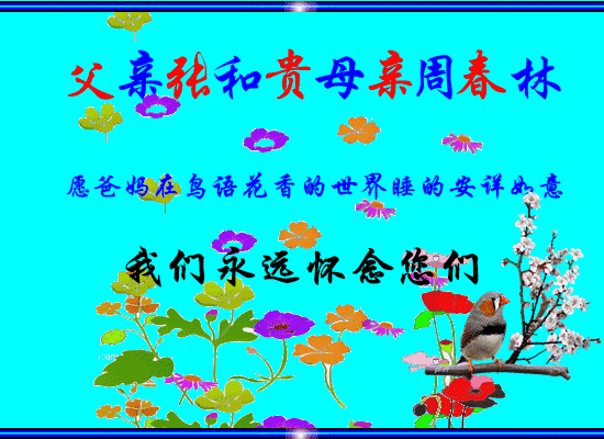 天堂纪念网
