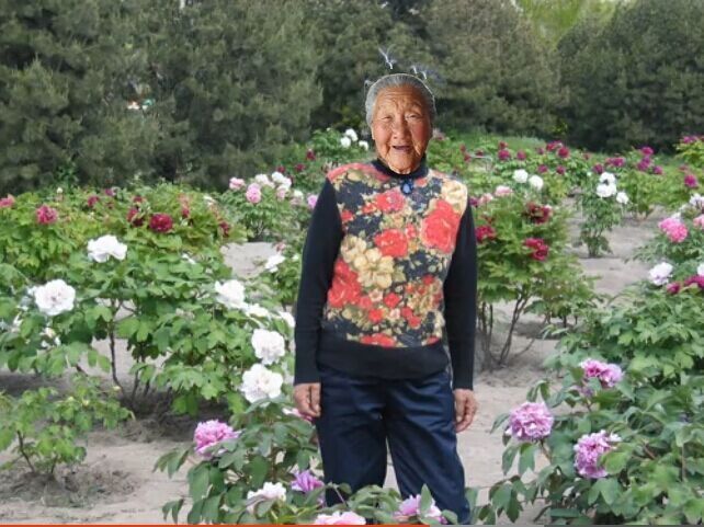 天堂纪念网