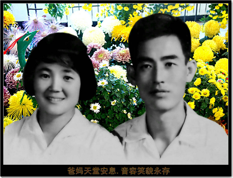 吴振有