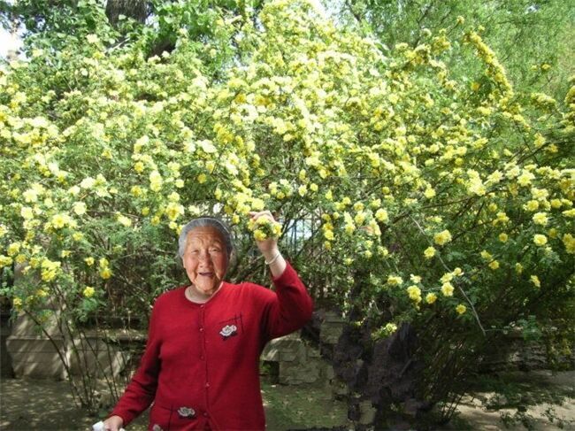天堂纪念网
