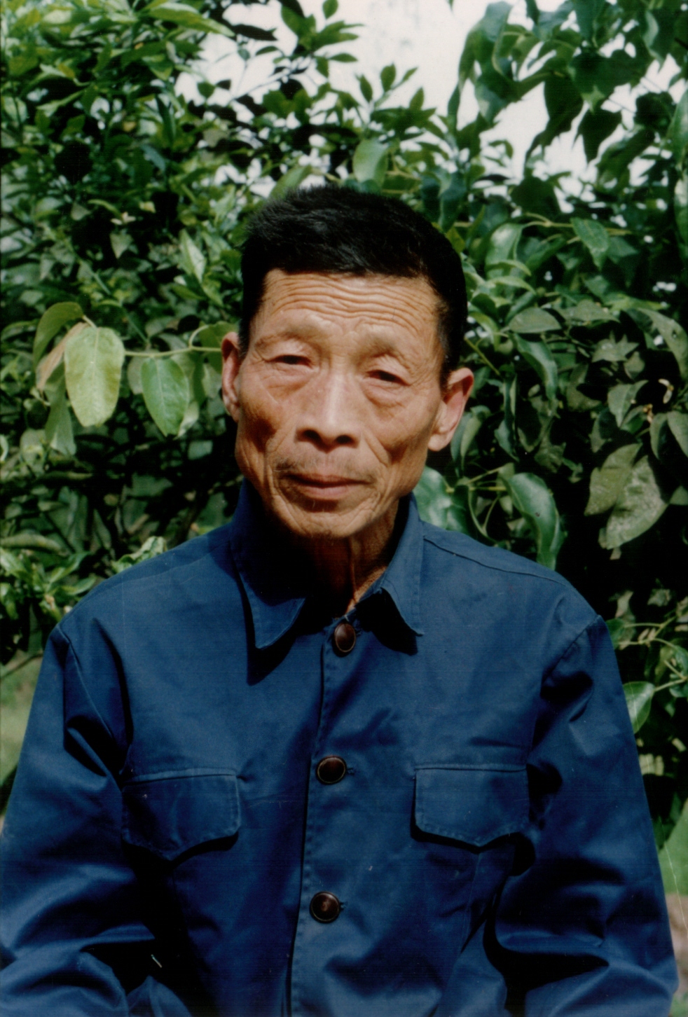 王民华