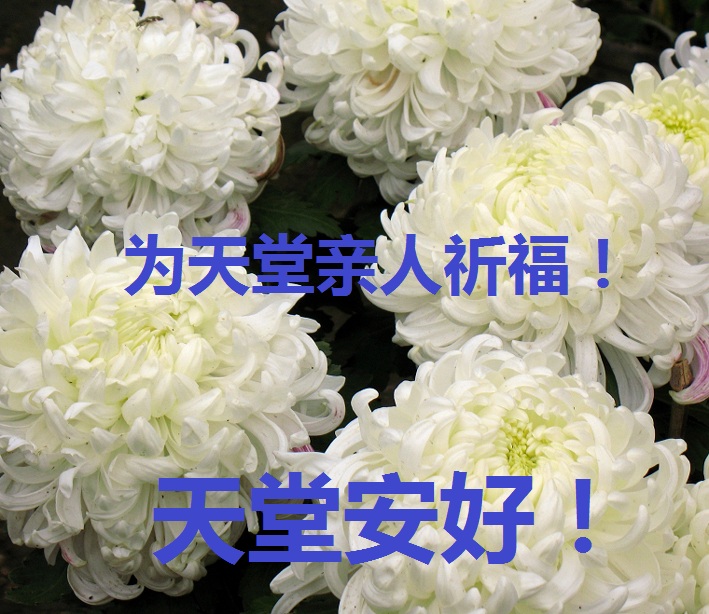 天堂纪念网