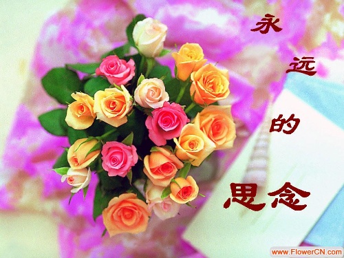 天堂纪念网