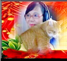 猫姐姐