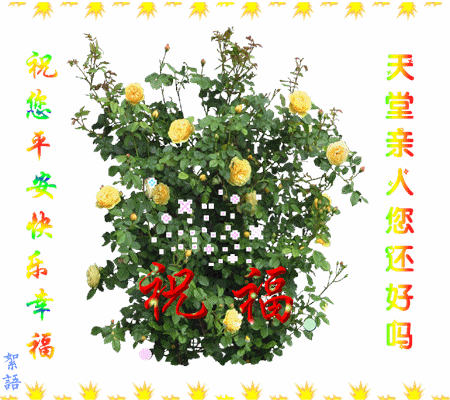 天堂纪念网
