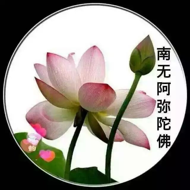 天堂纪念网
