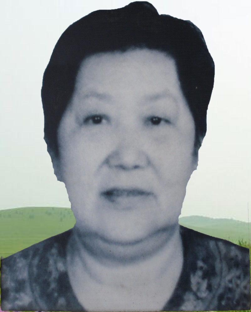 李发友