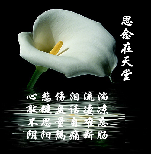 天堂纪念网