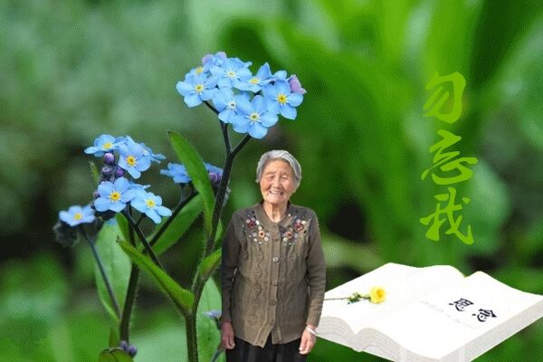 天堂纪念网