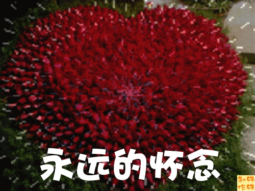 天堂纪念网