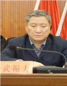 武振力