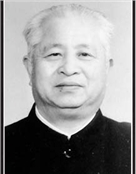 诸葛行