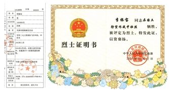 爸爸军功章