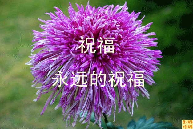 天堂纪念网