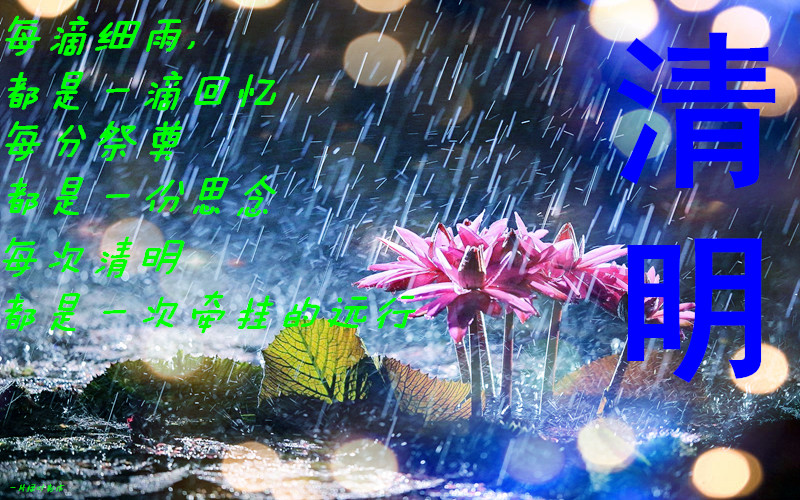 天堂纪念网