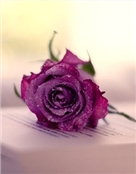 向美好