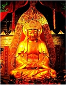 杨玉兰