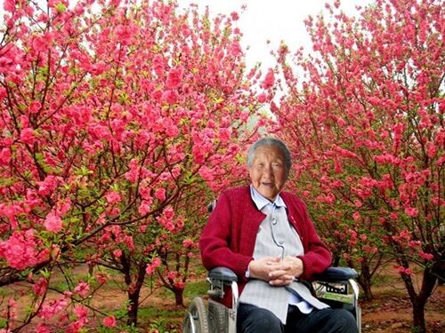 天堂纪念网