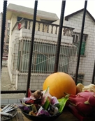 悲痛欲绝