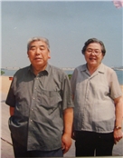 刚