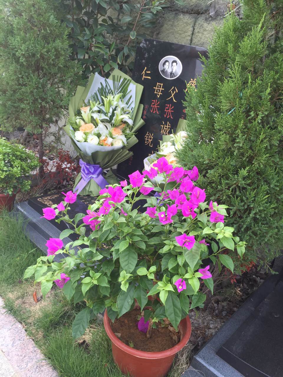 2016年中元节，祭奠父母，买了他们最爱的百合，爸爸最喜欢的颜色：白色；妈妈最喜欢的象征爱情的花