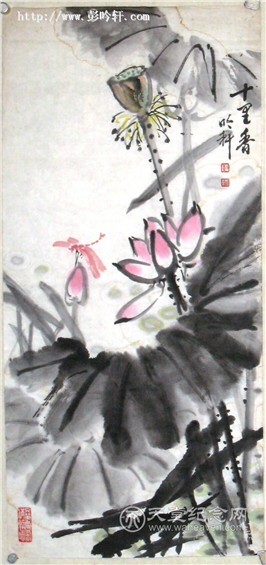 荷花作品