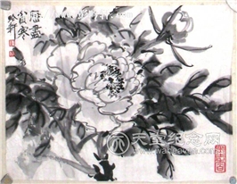 花鸟画作品馆