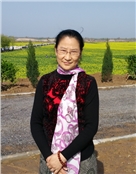 青莲