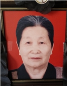 介雪琴
