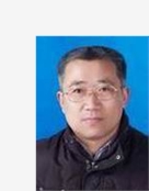 金老师
