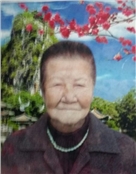 赵元芝
