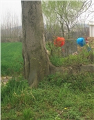 李光田