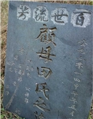 田应美 