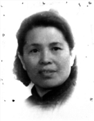 王树琴