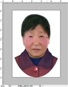 王美英