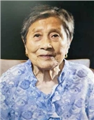 赵金华