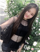齐秦