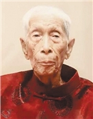 陈洪新