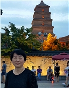 地平线