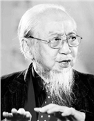 文怀沙