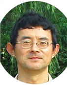 林锋