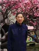 赖炳辉