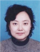 杨文