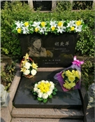 胡爱萍