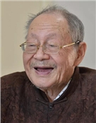 杨耐思