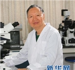 卢永根