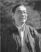 文伏波