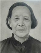 蓝凤勤