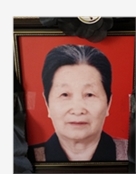 介雪琴