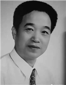 边树森